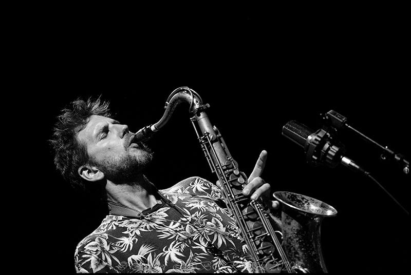 Robin Fincker